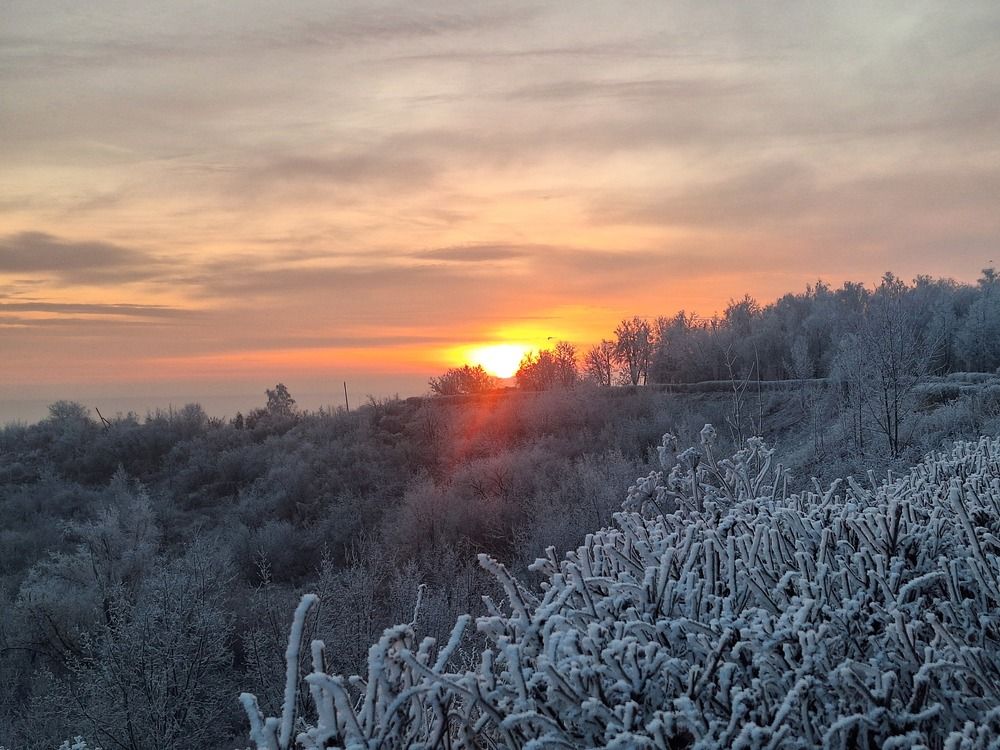 Photograph by Ирина