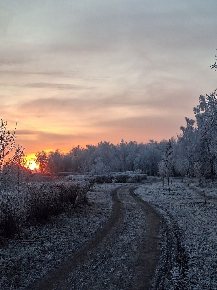 Photograph by Ирина