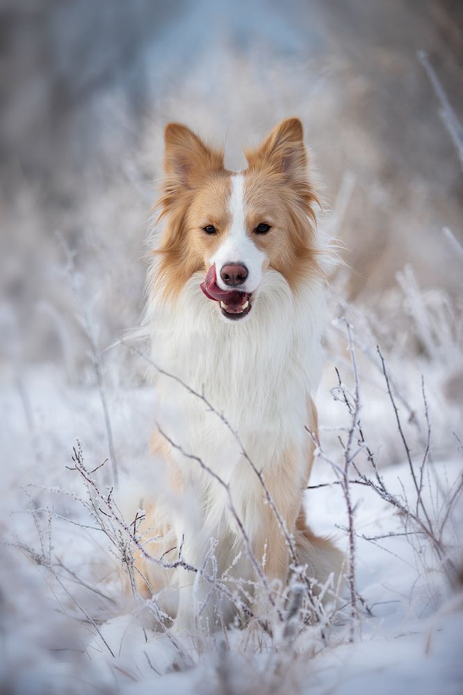 Photograph by Ольга Легенькая