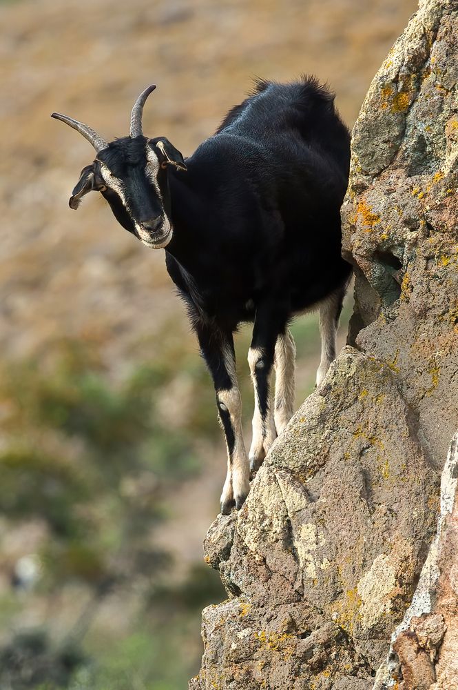 Photograph by catalin eremia