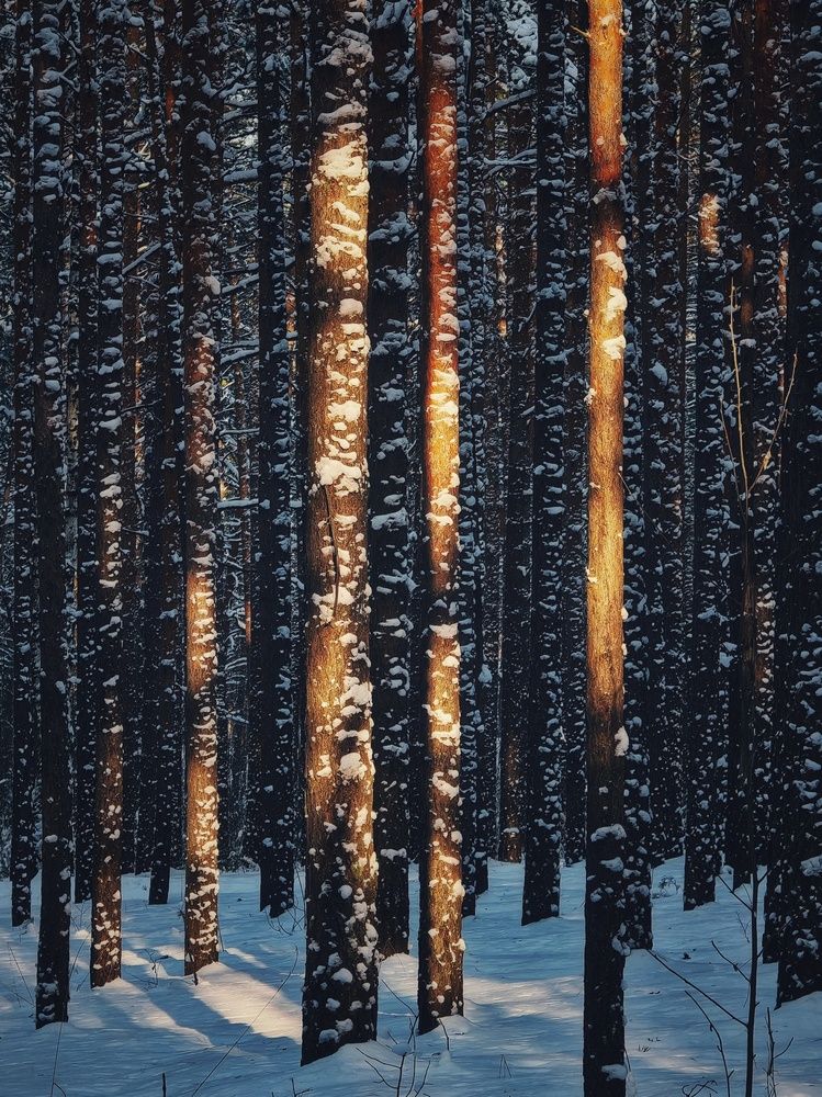 Фотография автора Юлия Есина