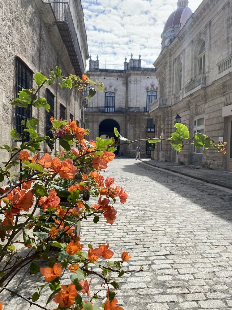 Photograph by Анна Соколова