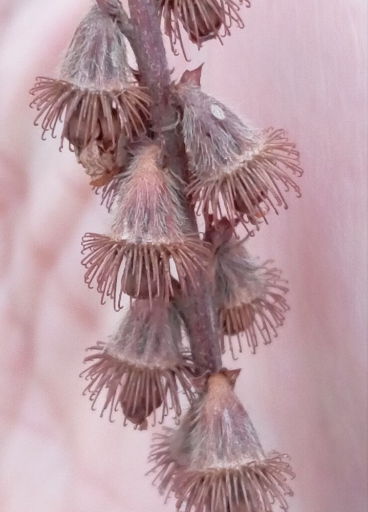 Photograph by Елена Коробченко