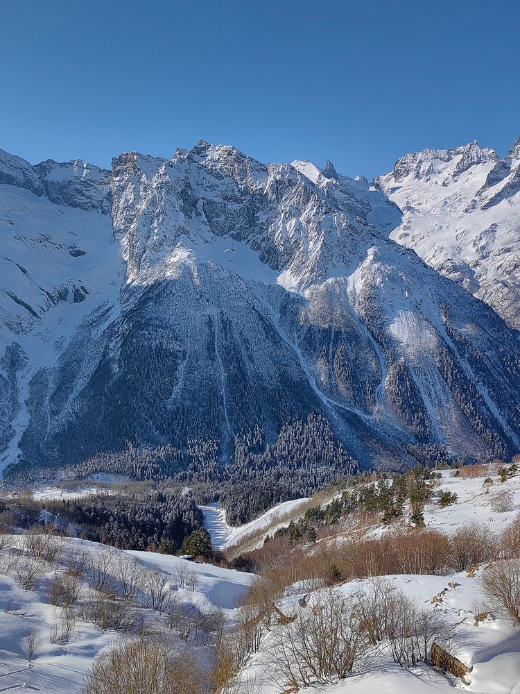 Photograph by Ирина Рябоконь