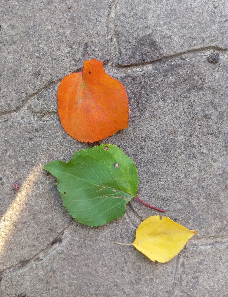 Photograph by Елена Коробченко