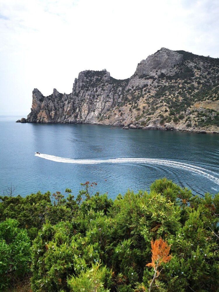 Фотография автора Андрей Богданов