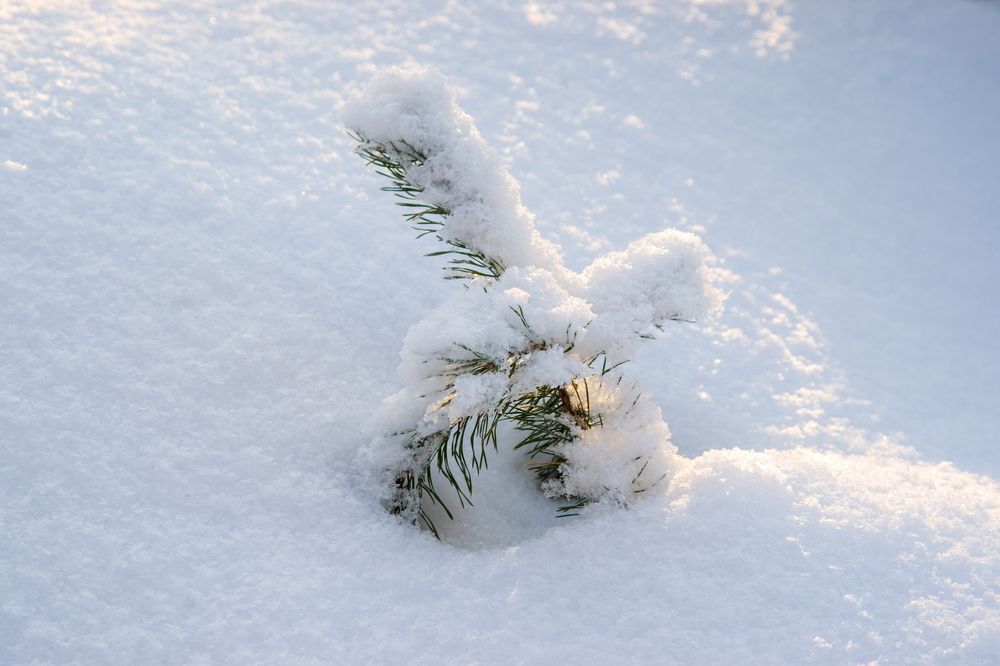 Photograph by Анатолий Стафичук