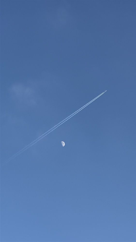 Photograph by Inna Shevchenko