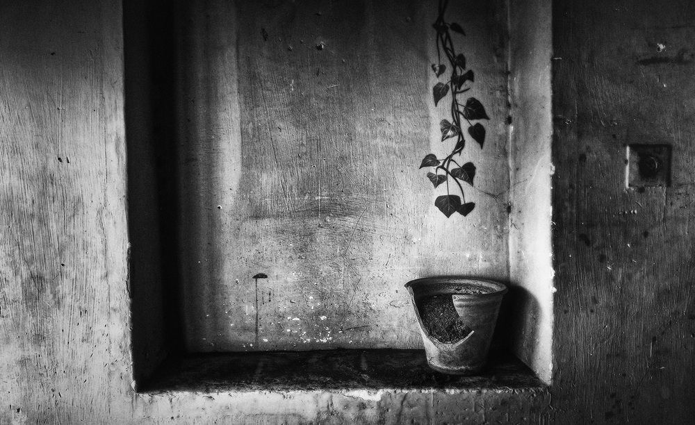 Photograph by Farzad Ajori