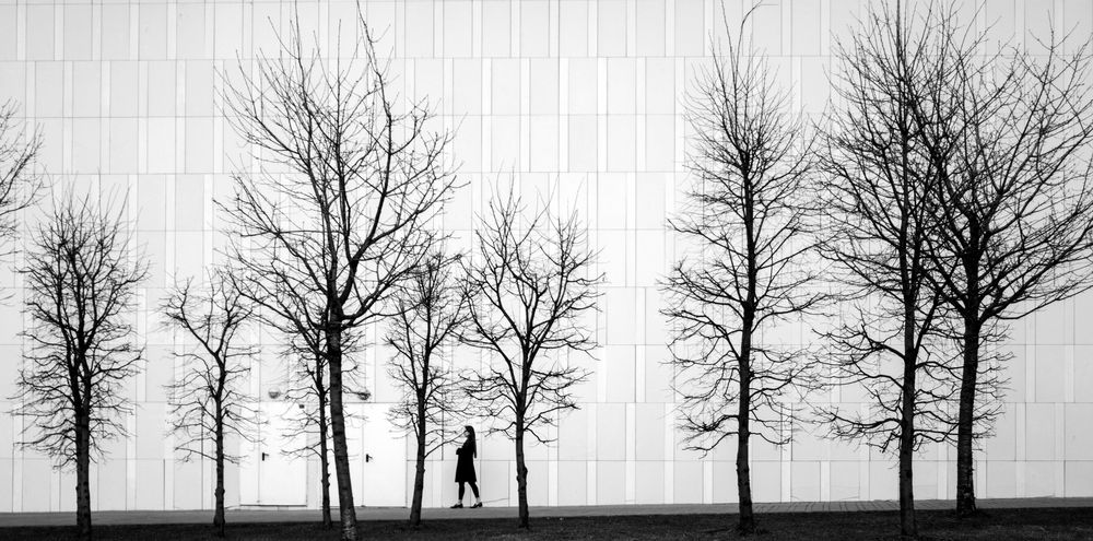 Фотография автора Ольга Лихтарь