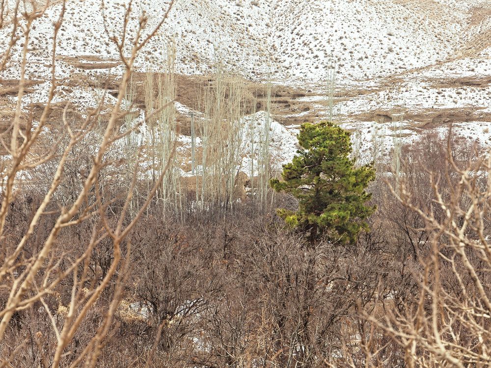 Photograph by Davoud Naeimi