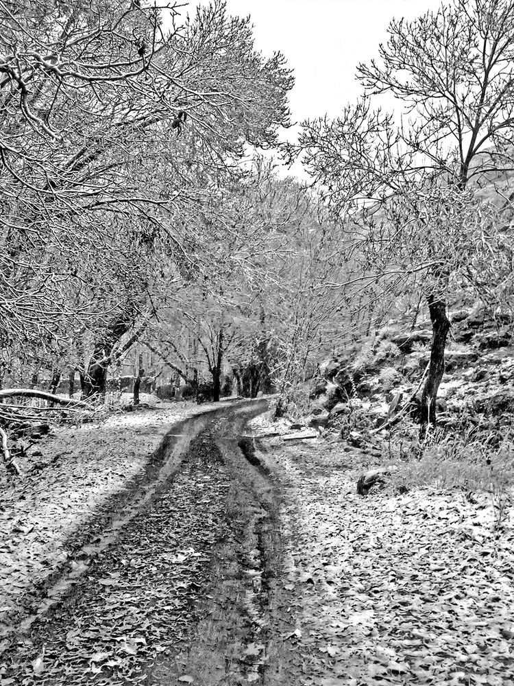 Photograph by Davoud Naeimi