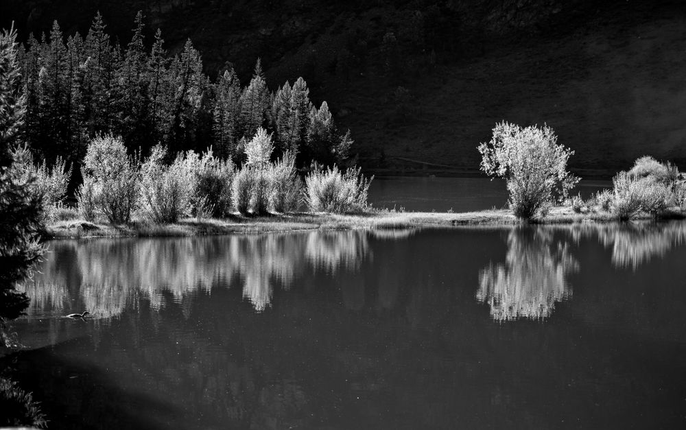 Photograph by Анатолий Стафичук