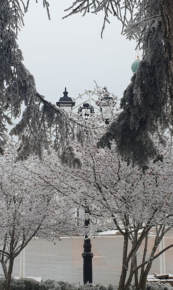 Photograph by Анастасия