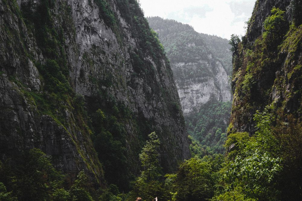 Photograph by Елена Ковалева