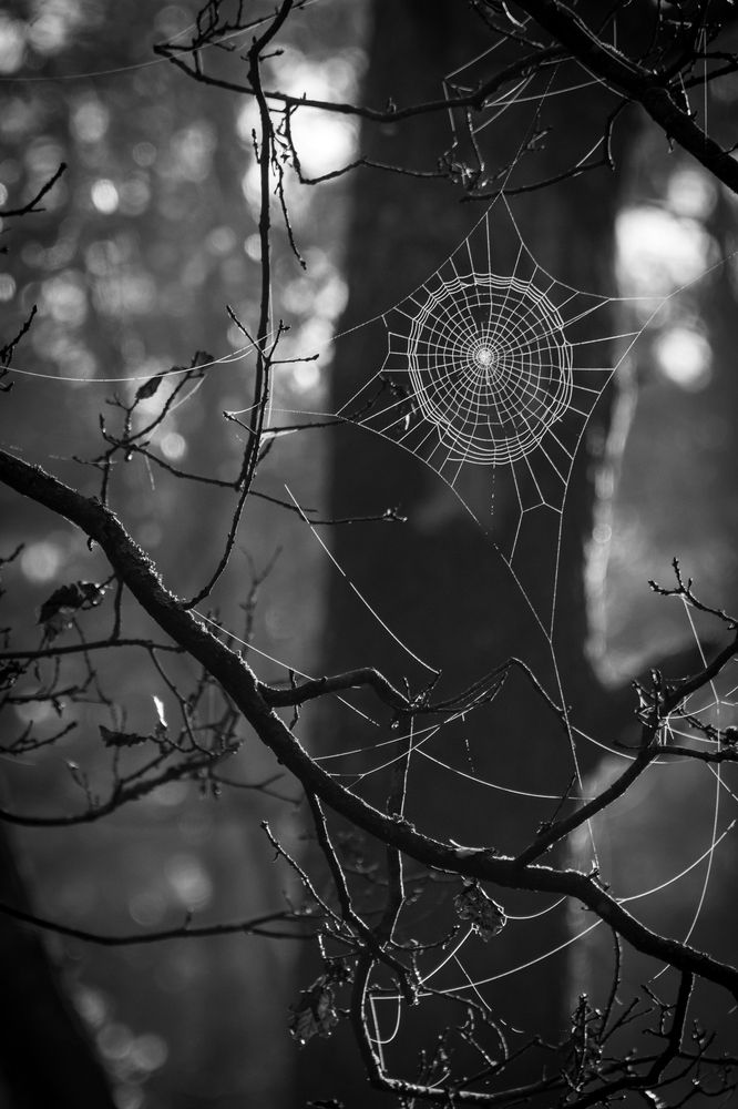 Photograph by Андрей Кузнецов