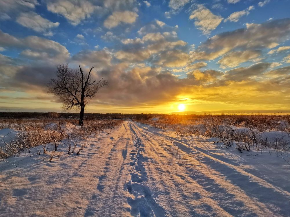 Фотография автора Андрей Шестаков