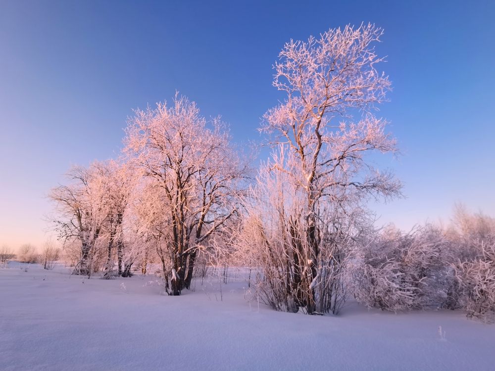Фотография автора Андрей Шестаков