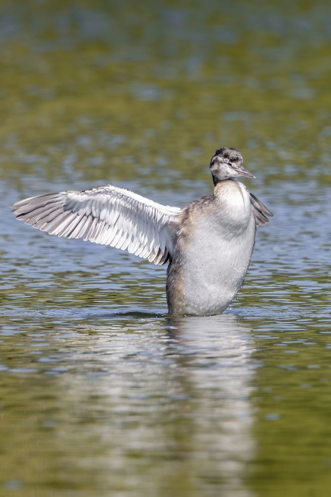 Photograph by Бурыкин Илья