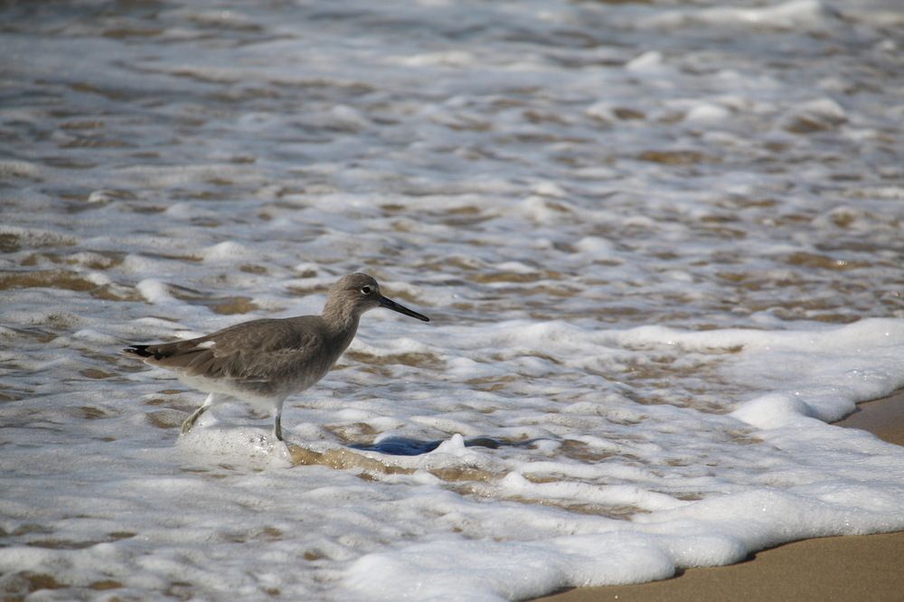 Фотография автора Анна Данилова