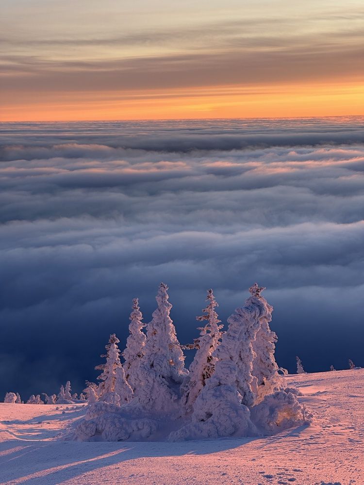 Photograph by Константин Гончаров