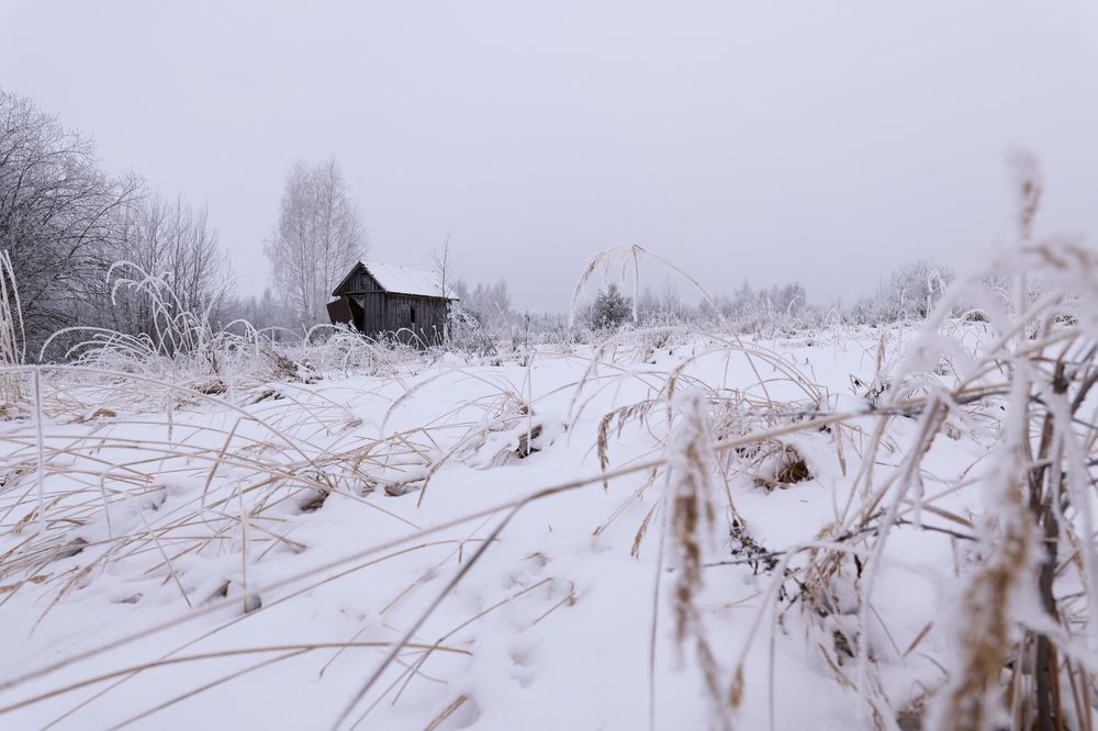 Photograph by Никита