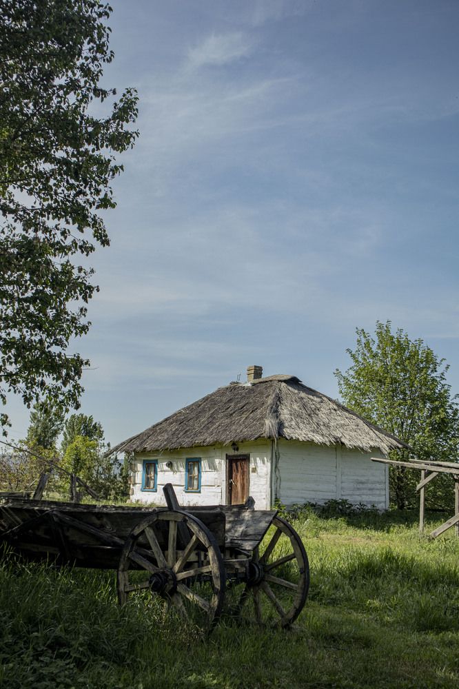 Photograph by Ксения Золотарь