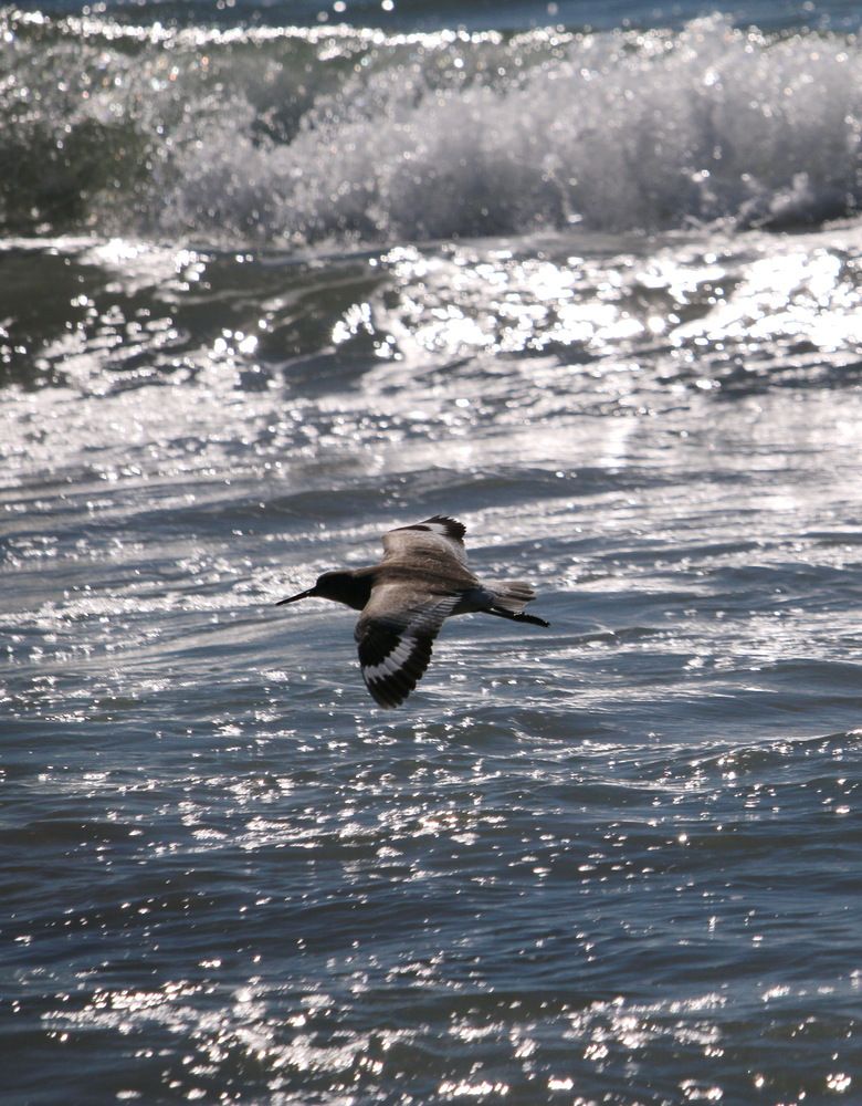 Фотография автора Анна Данилова