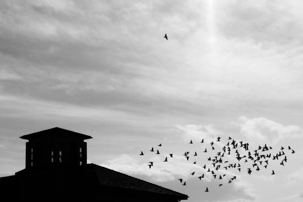 Photograph by Mila Nikolova