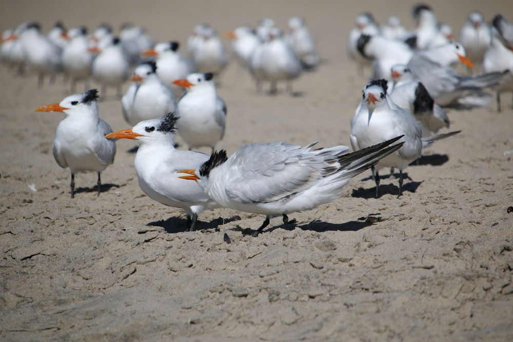Фотография автора Анна Данилова