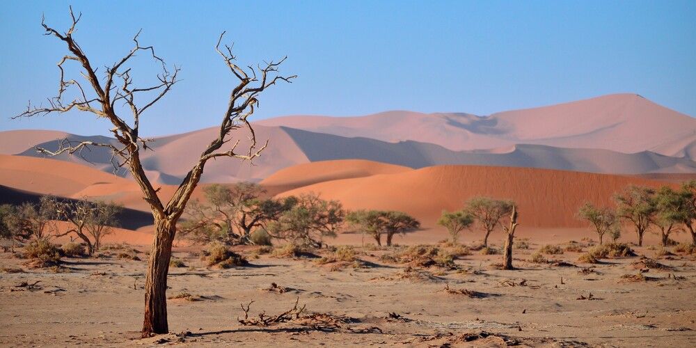 Фотография автора Julene Bosman