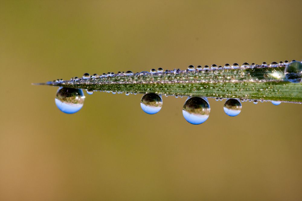 Photograph by Тимофей Черепанов