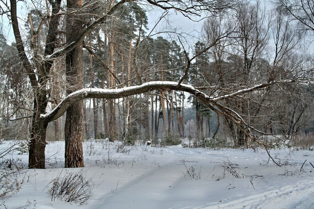 Photograph by Фарит Зиатдинов