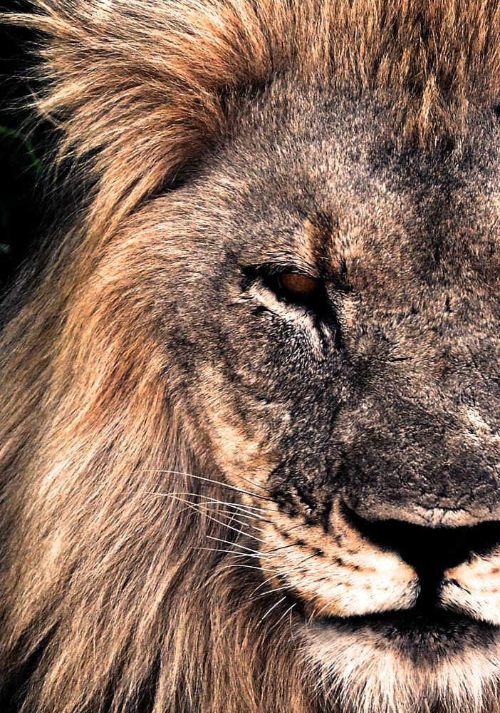 Фотография автора Julene Bosman