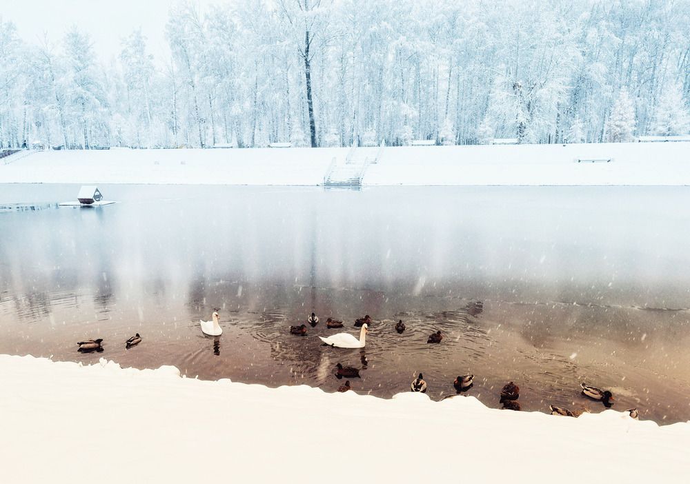 Photograph by Лариса Кузнецова