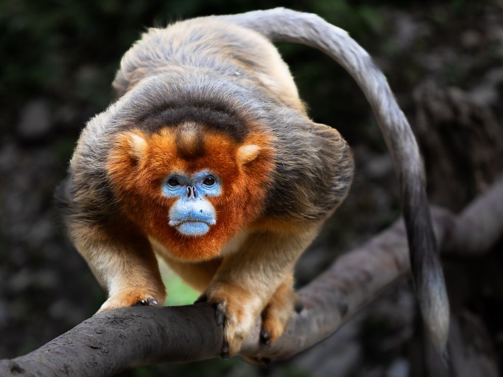 Photograph by Марина Маликова