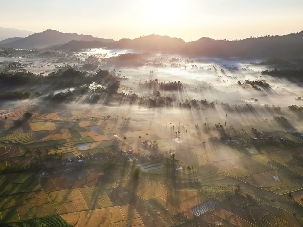 Morning in the mount Semeru.