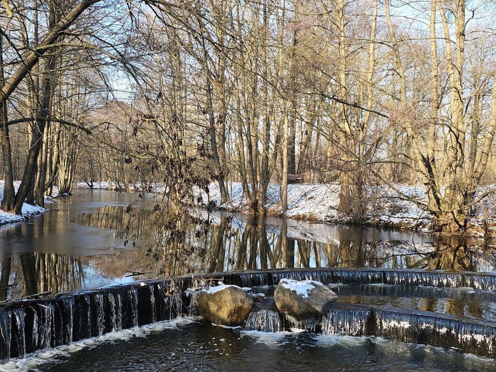 Фотография автора Мария Рудаковская