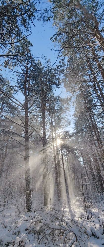 Photograph by Оксана