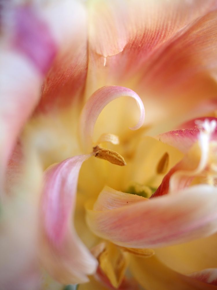 Photograph by Любовь