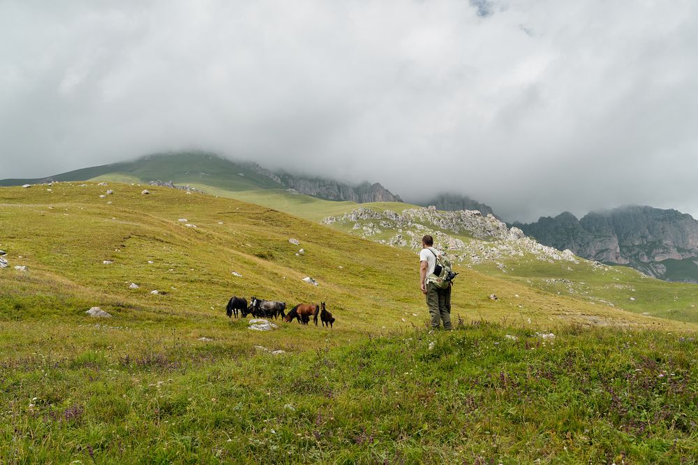 Photograph by Елена Ковалева