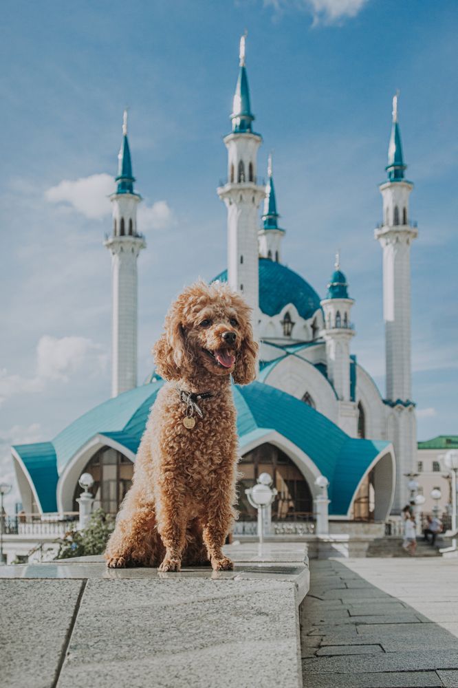 Фотография автора Третьяков Даниил