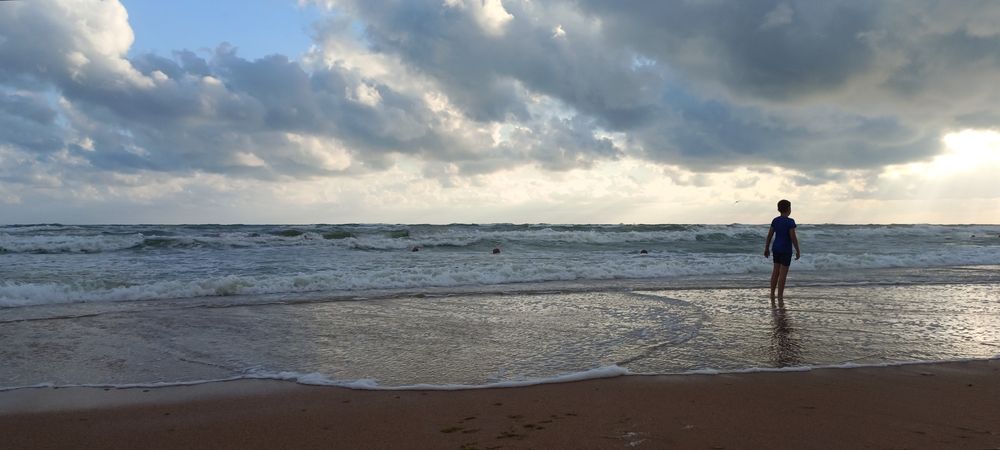 Photo #11849884