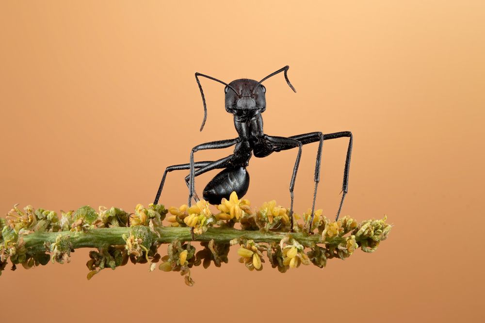 Фотография автора sherif Abdallah