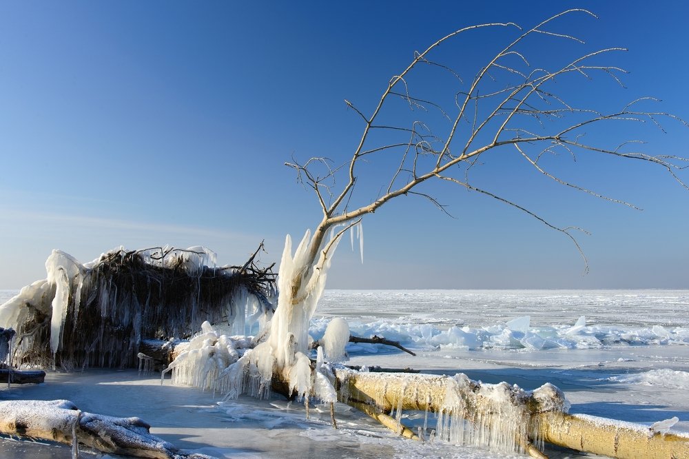 Photograph by Александр Шведов