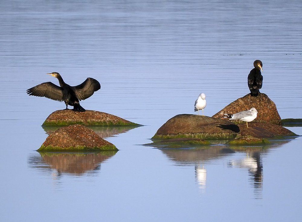 Раннее утро