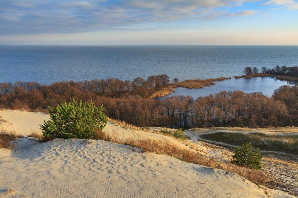 Дюнный берег Лебеди.