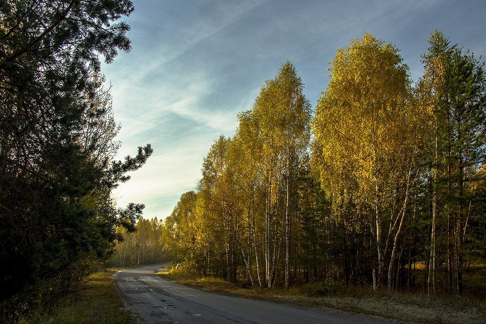 Утренняя дорога