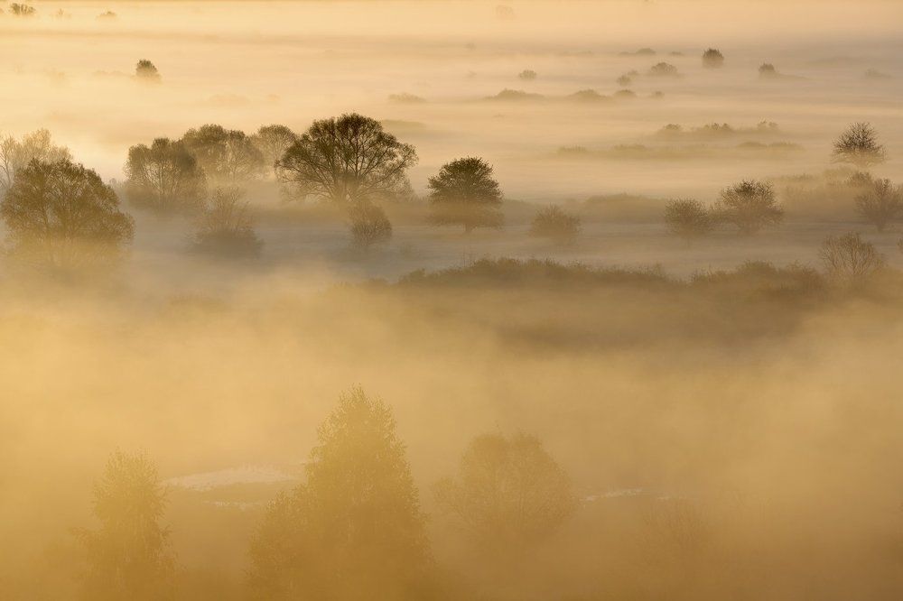 Утреннее покрывало.