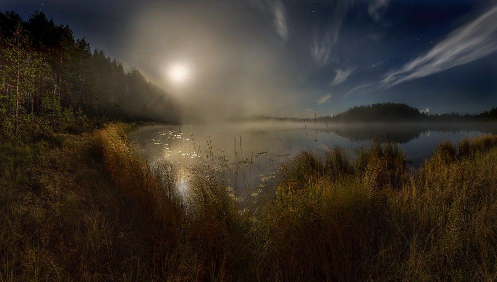 Яркое полнолунье.